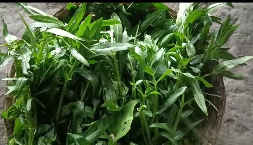 বসন্ত রোগ হওয়ার পর শরীরে দু’-একটি গুটি দেখা দেওয়া মাত্রই শ্বেতচন্দন গুঁড়ো ও হেলেঞ্চা শাকের রস  মিশিয়ে খেলে দ্রুত উপকার পাওয়া যায়।