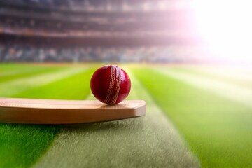 Cricket Quiz: সব থেকে কম সময়ে আন্তর্জাতিক ক্রিকেটে এক ওভার কে শেষ করেছেন?