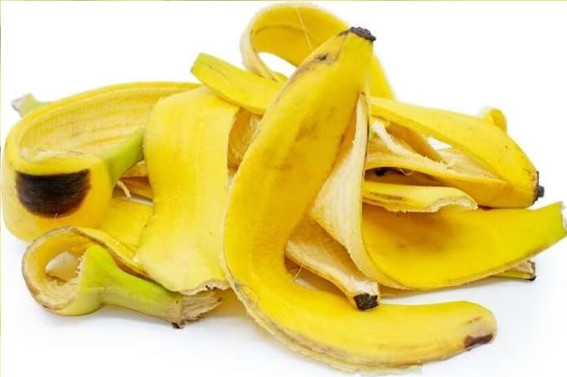 চুলের সমস্যা মেটাতে: কলার খোসা শুধু ত্বকের যত্নের জন্য নয়, তা আপনার চুলে আর্দ্রতা এবং চকচকে ভাবও যোগ করতে পারে। চুলে সরাসরি ঘষে হোক বা হেয়ার মাস্কে ব্লেন্ড করা হোক না কেন, কলার খোসা চুলের স্বাস্থ্যের জন্য প্রাকৃতিক উন্নতি ঘটায়।