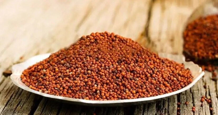 রাগি ডায়েটারি ফাইবারের একটি বড় উৎস, যা ওজন নিয়ন্ত্রণের জন্য অত্যন্ত গুরুত্বপূর্ণ। যা পেট অনেকক্ষণ ভরা রাখে।