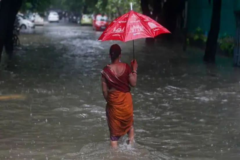 সর্বশেষ আবহাওয়ার আপডেটে দেখা যাচ্ছে আইএমডি-র রিপোর্ট অনুযায়ী তামিলনাড়ুতে গত ২৪ ঘণ্টা (সকাল 8:20 পর্যন্ত) ভারী থেকে অতিভারী বৃষ্টিপাত হয়েছে। সর্বোচ্চ বৃষ্টিপাত রেকর্ড করা হয়েছে কুড্ডালোরের সেথিয়াথোপ, লালপেট, কোথাভাচেরি এবং শ্রীমুষনামে।