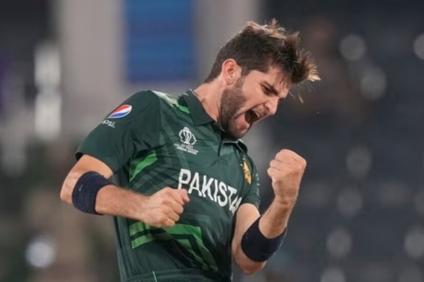তবে বিশ্বকাপে যে শুধু হ্যারিস রউফই পাকিস্তান বোলিংকে ডুবিয়েছে তেমনটাও নয়। পাক পেস অ্যাটাকের সেরা অস্ত্র শাহিন আফ্রিদি। বাঁ হাতি তারকা পেসারও নিজের নামের প্রতি একেবারেই সুবিচার করতে পারেননি। ৯টি ম্যাচে ৪৮১ রান খরচ করে নিয়েছেন ১৮টি উইকেট।
