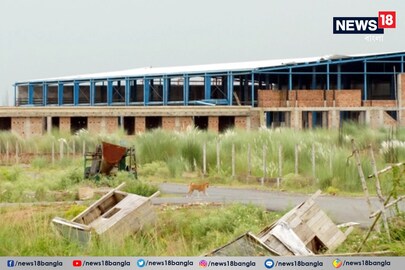রাজ্যকে ক্ষতিপূরণ দেওয়ার নির্দেশ ট্রাইবুনালের
