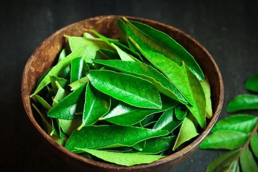 ৩. কারি পাতা:কারি পাতা সাধারণত দক্ষিণ ভারতীয় খাবারে ব্যবহৃত হয়। কিন্তু জানেন কি এই পাতা চুলের জন্য খুবই উপকারী, কারণ এটি মাথার ত্বকে পুষ্টি জোগায়। কারি পাতা ভাল করে পিষে নারকেল তেলের সঙ্গে মিশিয়ে নিন। এবার এই মিশ্রণটি চুলে লাগান। এই মিশ্রণ সপ্তাহে একবার ব্যবহার করলেই যথেষ্ট।