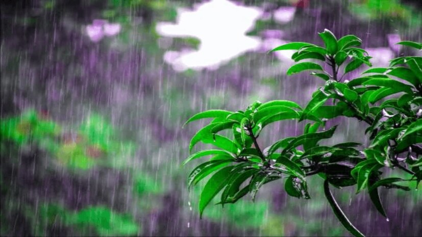 মঙ্গলবার বিকেল থেকেই আংশিক মেঘলা আকাশ। বুধবার উপকূলের তিন জেলা পূর্ব মেদিনীপুর, দক্ষিণ চব্বিশ পরগনা, উত্তর চব্বিশ পরগনায় হালকা বৃষ্টির সামান্য সম্ভাবনা। বৃহস্পতি ও শুক্রবার বজ্রবিদ্যুৎ সহ হালকা মাঝারি থেকে বিক্ষিপ্তভাবে ভারী বৃষ্টি উপকূল ও সংলগ্ন জেলাতে। 