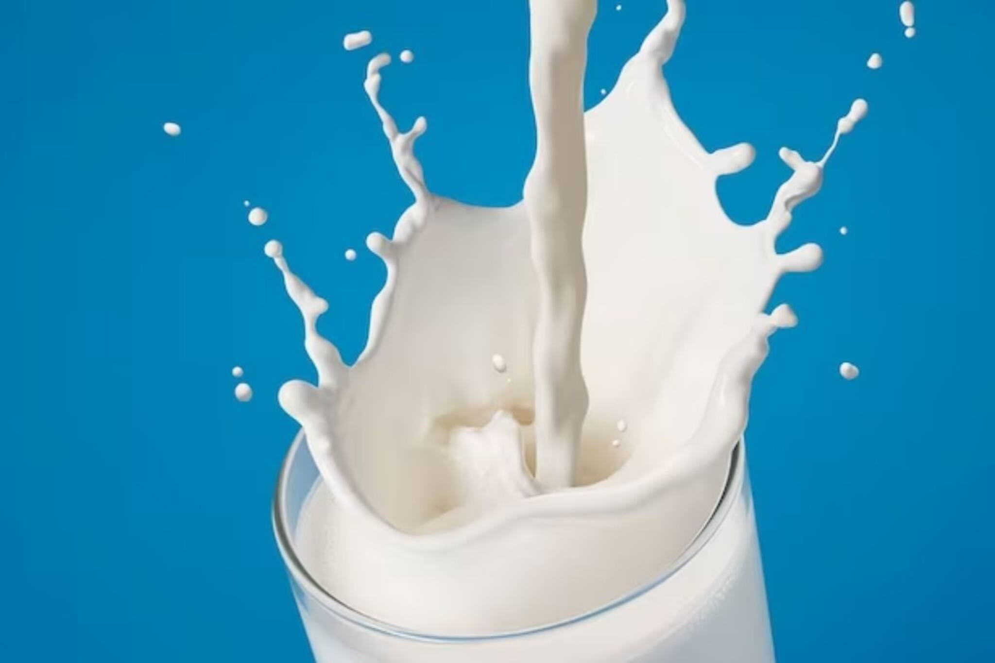 শরীর তরতাজা করতে রোজই খান দুধ? বাচ্চাকেও দেন? জেনে নিন কার কখন দুধ খাওয়া উচিত!