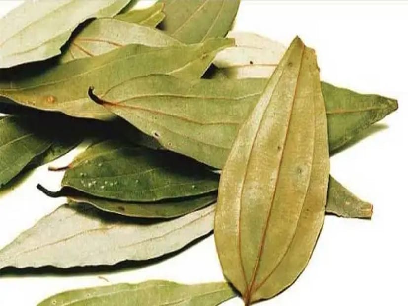রান্নায় ফোড়ন হিসেবে তেজপাতা ব্যবহার করি আমরা, তার কারণ কী? অধিকাংশ মানুষই বলবেন, স্বাদের জন্য। কিন্তু সত্যিই কি তেজপাতার স্বাদ সে ভাবে পাওয়া যায় ৷ কখনও ভেবেছেন? খানিকটা গন্ধ, ঝাঁঝ তো নিশ্চয়ই রয়েছে। কিন্তু তার থেকেও বেশি রয়েছে এর গুণাগুণ।