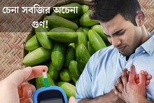 কম দামি বলে কিনছেন না? ব্লাড সুগার থেকে হার্টের সমস‍্যা, একাধিক রোগ দূরে রাখে