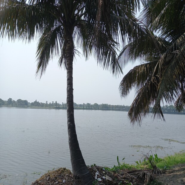 পশ্চিমের জেলা পুরুলিয়া, বাঁকুড়া, ঝাড়গ্রাম, পশ্চিম মেদিনীপুর, পশ্চিম বর্ধমান ও বীরভূমে তাপমাত্রা অপেক্ষাকৃত ভাবে কম থাকবে। সর্বনিম্ন তাপমাত্রা ১৭ থেকে ১৮ ডিগ্রি সেলসিয়াসের মধ্যে থাকবে আগামী তিন দিন। উত্তর-পশ্চিম ও উত্তুরে হাওয়াতে হালকা শীতের আমেজ।