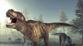 Tyrannosaurus rex dinosaur