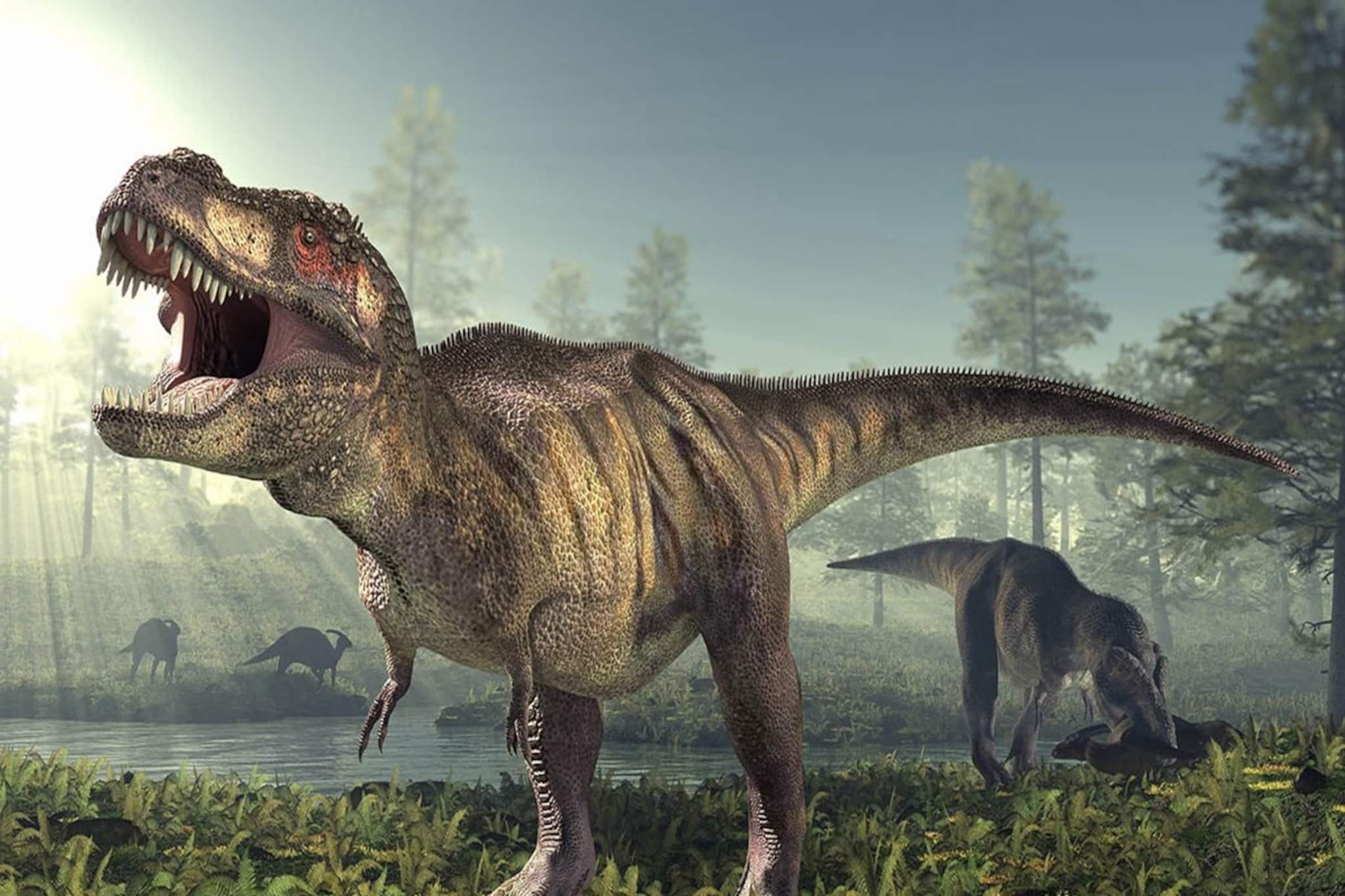 কখনও ভেবে দেখেছেন, ডাইনোসর কেন অত বড় হত? কারণ জানলে অবাক হবেন