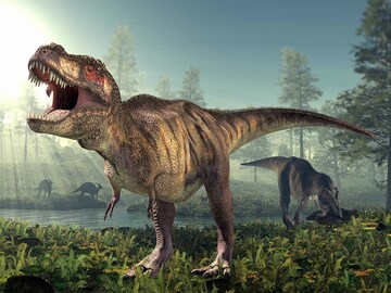 Tyrannosaurus rex dinosaur