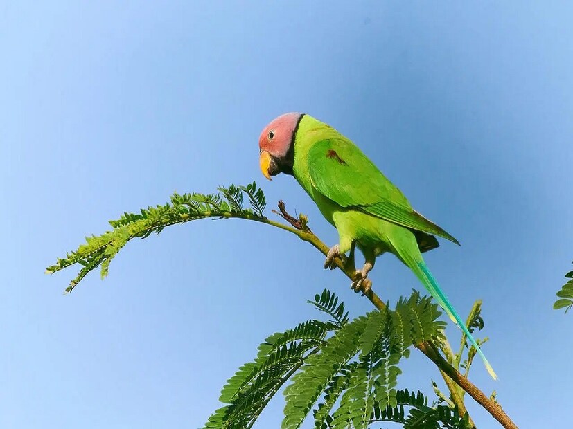কয়েকশ বছর আগে, যখনই এমন কিছু ঘটেছিল যা মানুষ বুঝতে পারে না, তখনই তারা এটিকে একটি অলৌকিক ঘটনা হিসাবে দেখতে বা ঈশ্বরের সঙ্গে যুক্ত করতে শুরু করেছিল। কিন্তু বিজ্ঞানের উন্নতিতে যন্ত্র ও প্রযুক্তির সাহায্যে মানুষ খুঁজে বের করতে পেরেছে প্রতিটি জিনিস বা ঘটনার পিছনের আসল কারণ।
