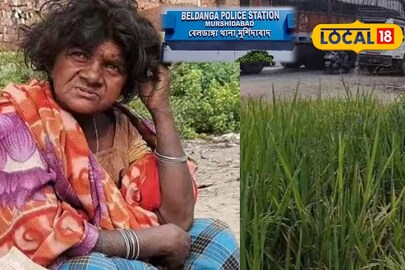 বেলডাঙায় এই পাগল মহিলা ফলিয়েছেন ধান 
