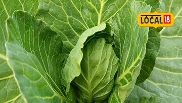 শীতকালীন