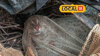 প্রচার অভিযানেই যেন হুশ ফিরছে মানুষের 