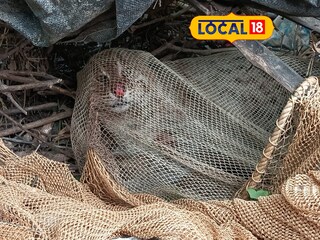 প্রচার অভিযানেই যেন হুশ ফিরছে মানুষের 