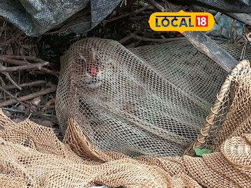 প্রচার অভিযানেই যেন হুশ ফিরছে মানুষের 