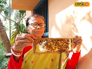 মৌমাছি