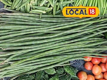 এই গাছের ডাঁটা-ফুল-পাতা সবেতেই গুণ! চুল থেকে শরীর হবে ঝকঝকে! জানুন চিকিৎসকের মত