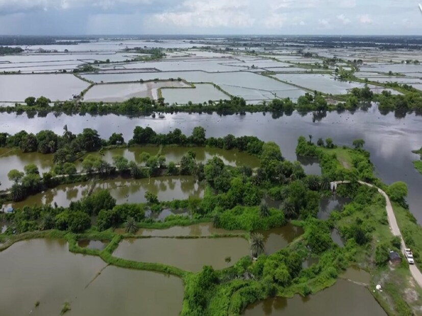 শীতে কলকাতা থেকে মাত্র এক ঘণ্টা দূরত্বে ঘুরে আসুন বিদ্যাধরীর তীরে সবুজ ঘেরা স্পটে। শীতকাল আসলেই সকলের মনে ভ্রমণের কথা উঁকি মারে। মন চায় একটু শান্তু নিরিবিলি জায়গায় প্রকৃতির সঙ্গে সময় কাটাতে কিন্তু অফিসে কিংবা বাড়িতে কাজের ব্যস্ততার মাঝে আর সময় হয়ে ওঠে না। (জুলফিকার মোল্যা)