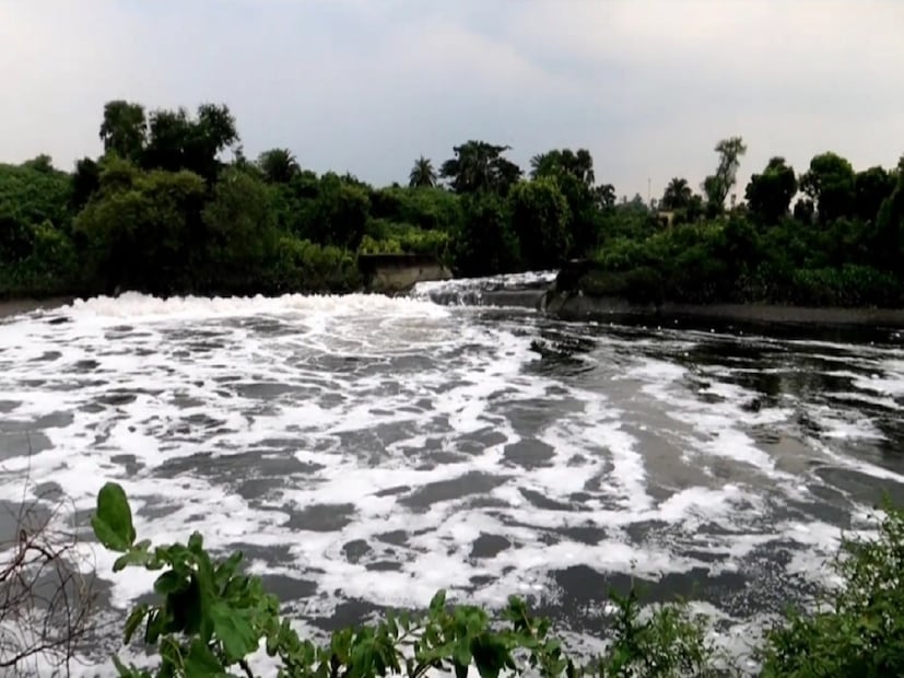 তাই কলকাতার ব্যস্ত জীবন থেকে দু’দিন ছুটি নিয়ে মাত্র ১ ঘণ্টা সময়ের ব্যবধানে ঘুরে আসতে পারবেন বিদ্যাধরী নদীর তীরে৷
