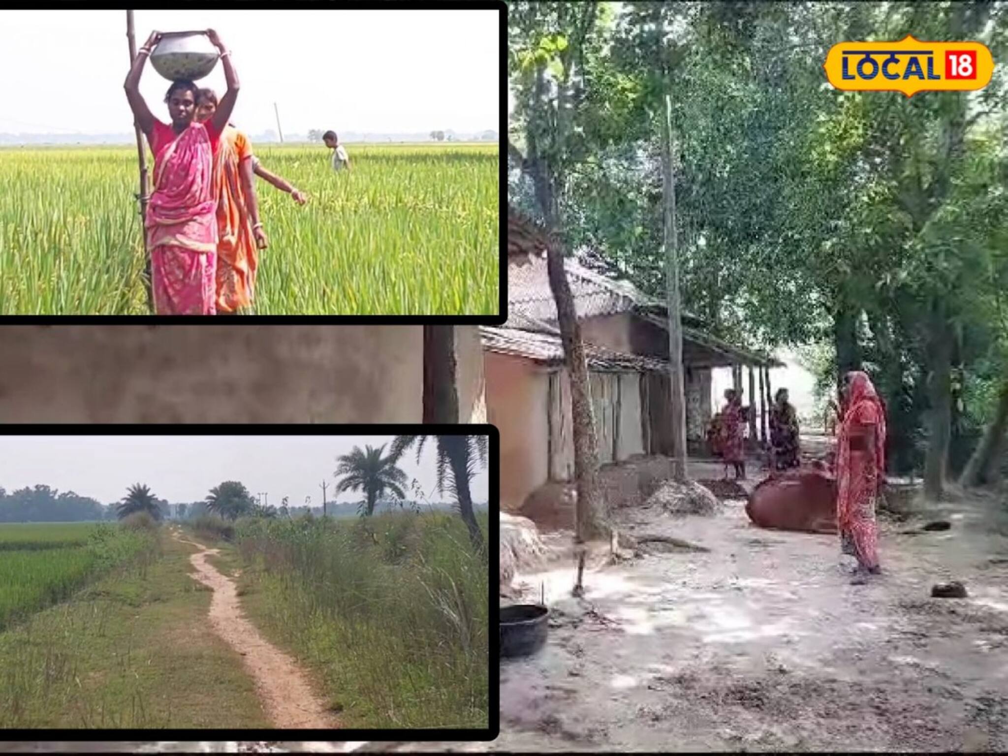 Jhargram News: এ যেন 'নেই' দুনিয়া! জল, পাকা রাস্তা ছাড়াই বাঁচছে জঙ্গলমহলের এই গ্রাম