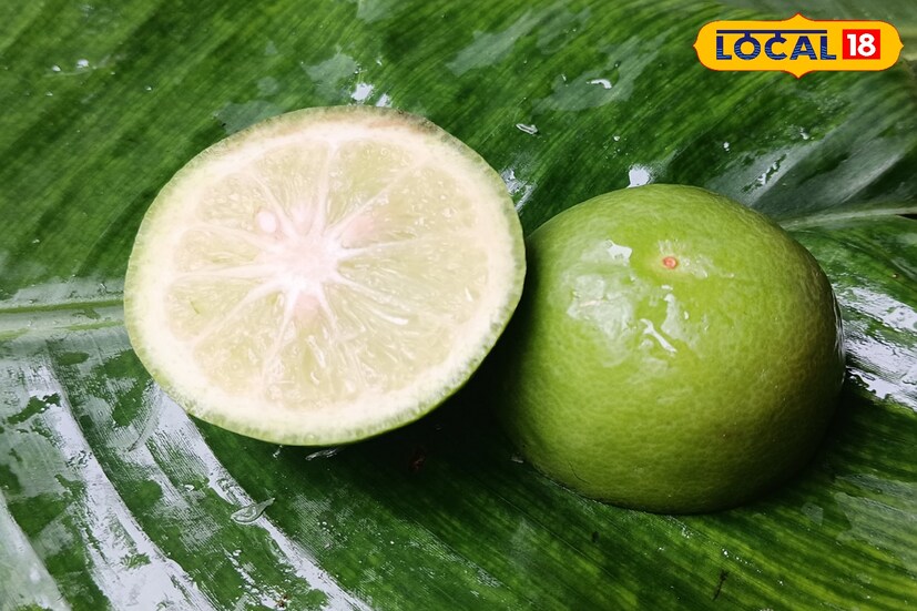 এই প্রসঙ্গে ডা: সৌরেন্দু শেখর বিশ্বাস জানান, লেবু যেমন খাবারের স্বাদ ফেরায়। তেমনি খাবার হজমে দারুন কার্যকরী। ইমিউনিটি পাওয়ার বৃদ্ধি করে পাতি লেবু।