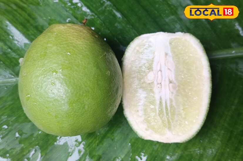 লেবুতে থাকা ভিটামিন সি রোগ প্রতিরোধ ক্ষমতা বৃদ্ধি করে।