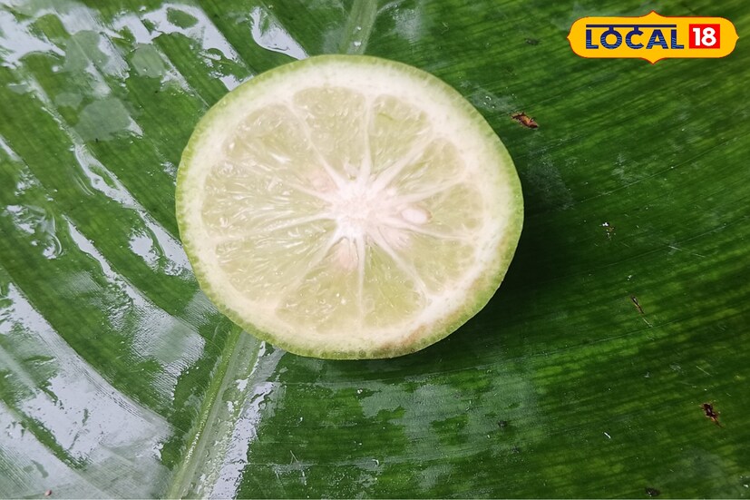 লেবুতে বর্তমান ' সাইট্রিক অ্যাসিড'। পেটের ক্ষতিকারক পদার্থ দূর করতে সাহায্য করে। 