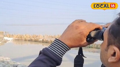 হাতির পাল 