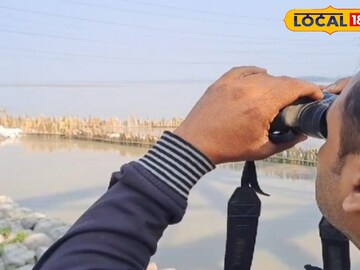 হাতির পাল 