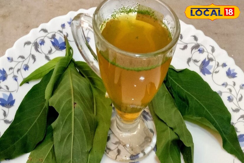 বাসক পাতা জন্ডিস প্রতিরোধে সাহায্য করে। হাফ চামচ বাসক ফুলের রস ও এক চামচ মধু মিশিয়ে রোজ খেলে এতে জন্ডিসের মতো রোগকে প্রতিরোধ করা যায়। (Disclaimer: এই প্রতিবেদনটি কেবলমাত্র সাধারণ তথ্যের জন্য, তাই বিস্তারিত জানতে হলে সর্বদা বিশেষজ্ঞের পরামর্শ নিন।) (রিপোর্টার-- সুস্মিতা গোস্বামী)