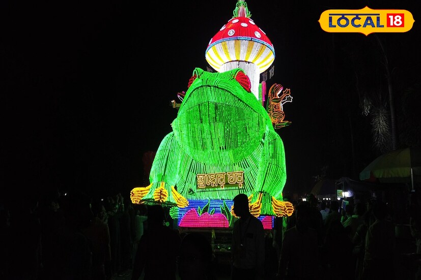 বড় বড় লরিতে পরিণত হয় মেকাট্রনিক ট্যাবলো তে। কোথাও দেখা যায় আলোর মধ্যে ফুটে উঠেছে বিভিন্ন পশু পাখি জীবজন্তু আবার কোথাও দেখা যায় আলোর দিয়ে তৈরি হয়েছে বর্ণ পরিচয় এর গল্প।