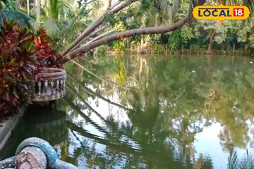 শীতে পিকনিক স্পট খুঁজছেন? কলকাতার কাছেই রয়েছে এই জায়গা! জানুন