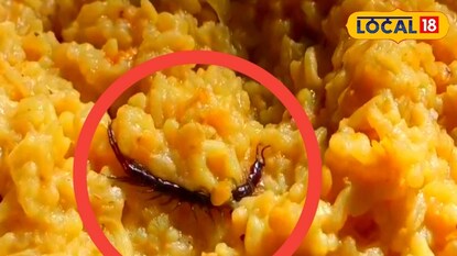 খাবারে বিষাক্ত বিছে খাবারে বিষাক্ত বিছে