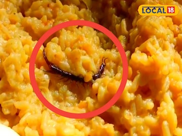 খাবারে বিষাক্ত বিছে