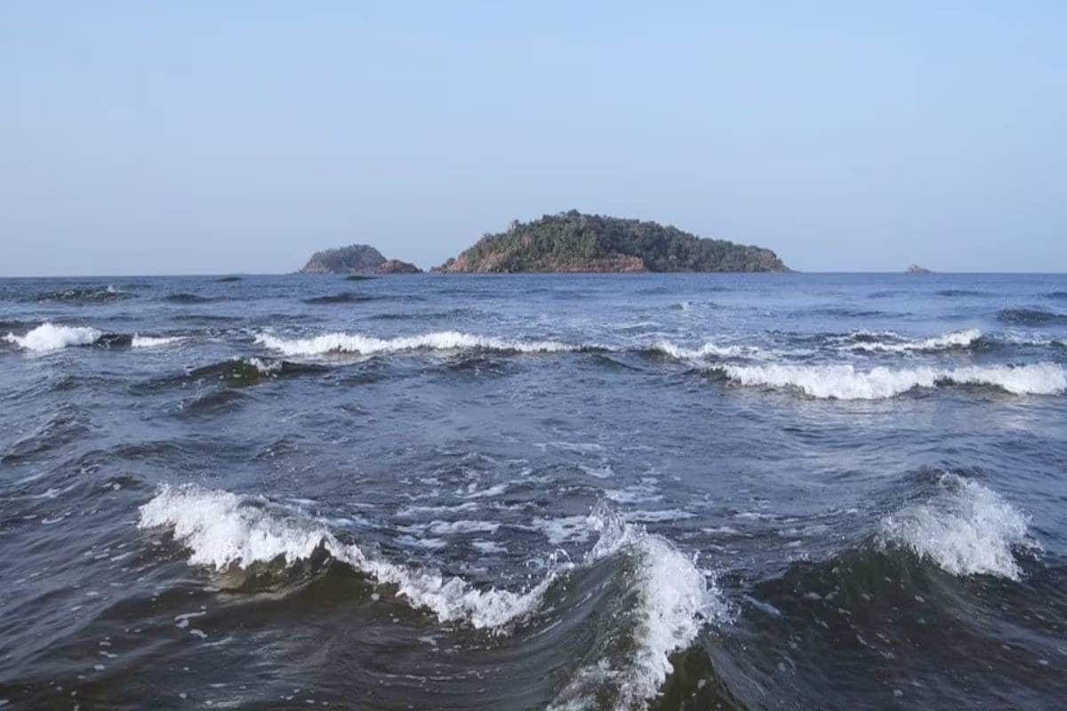 Marine Life: আরব সাগরের তাপমাত্রা বাড়ছে লাফিয়ে লাফিয়ে! ভয়ে কাঁপছে