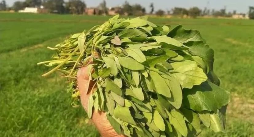 শর্তত্যাগ: শুধুমাত্র আপনাদের সচেতন রার উদ্দেশ্যেই এই প্রতিবেদনটি লেখা হয়েছে। আমরা এই লেখায় ঘরোয়া প্রতিকার ও সাধারণ তথ্যের সাহায্য নিয়েছি। আপনি যদি কোথাও আপনার স্বাস্থ্য সম্পর্কিত কিছু পড়েন তবে তা গ্রহণ করার আগে অবশ্যই একজন ডাক্তারের পরামর্শ নিন।