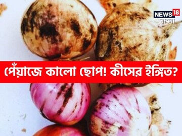 পেঁয়াজে কালো ছোপ ! এটি খাওয়া স্বাস্থ্যের পক্ষে ক্ষতিকর কী না, জেনে নিন