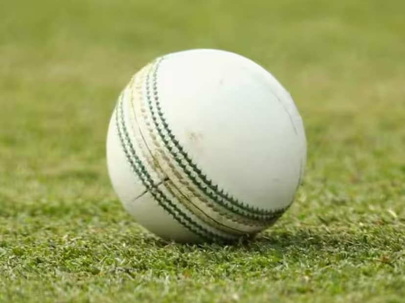 এই সাদা বলটি কুকাবুরার টার্ফ সাদা বল তৈরি হয় অস্ট্রেলিয়ায়। এই বলে গুণমান এবং শ্রেষ্ঠত্ব নিশ্চিত যা আপনি বিশ্ব-বিখ্যাত সরবরাহকারীর কাছ থেকে আশা করেন।
