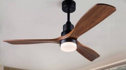 সিলিং ফ্যান (প্রতীকী ছবি) সিলিং ফ্যান (প্রতীকী ছবি)