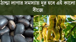 আগাছা নয়, অসম্ভব উপকারী! ঠান্ডা লাগার সমস‍্যা দূর হবে এই কালো বীজে