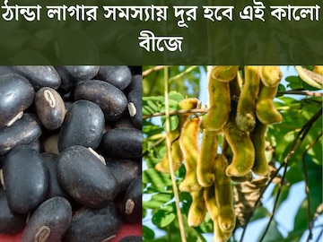 আগাছা নয়, অসম্ভব উপকারী! ঠান্ডা লাগার সমস‍্যা দূর হবে এই কালো বীজে