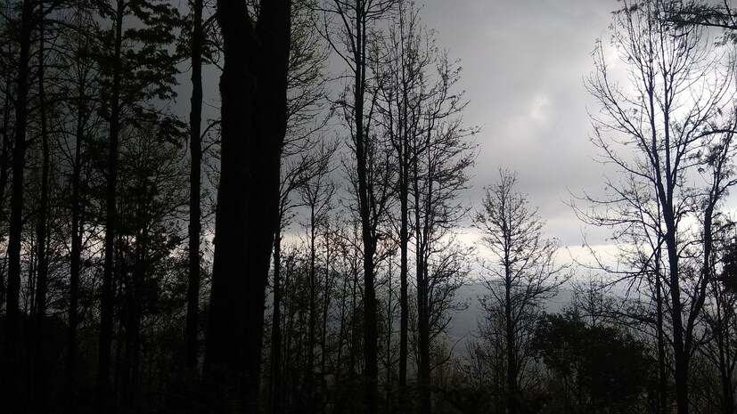 IMD Weather Alert: এর প্রভাবে, জম্মু ও কাশ্মীর, লাদাখ, গিলগিট, বাল্টিস্তান, মুজাফফরাবাদ এবং হিমাচল প্রদেশের মতো পাহাড়ি অঞ্চলে তুষারপাত এবং বৃষ্টিপাতের সম্ভাবনা রয়েছে ২১ মার্চ পর্যন্ত।