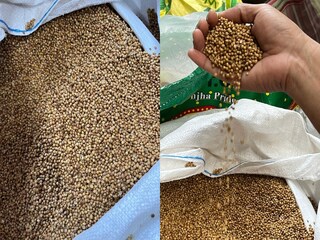 ভেজাল ধনের কারবার শহরে ভেজাল ধনের কারবার শহরে