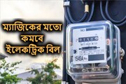 বিদ্যুৎ খরচ বাঁচাতে চান? ঘরের এই জিনিসটি কেনার আগে দেখুন, ম্যাজিকের মতো কমবে বিল