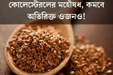 কোলেস্টেরলের মহৌষধ, কমবে অতিরিক্ত ওজনও! এই বীজেই শরীর থাকবে সুস্থ