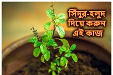 সিঁদুর-হলুদ দিয়ে করুন তুলসীর এই প্রতিকার! অভাব ছুঁতে পারবে না, ভরে উঠবে সংসার