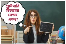 প্রাথমিক শিক্ষকের বেতন এই সব দেশে.. মাসে লক্ষ লক্ষ টাকা! পাকিস্তানে কত পায় জানেন